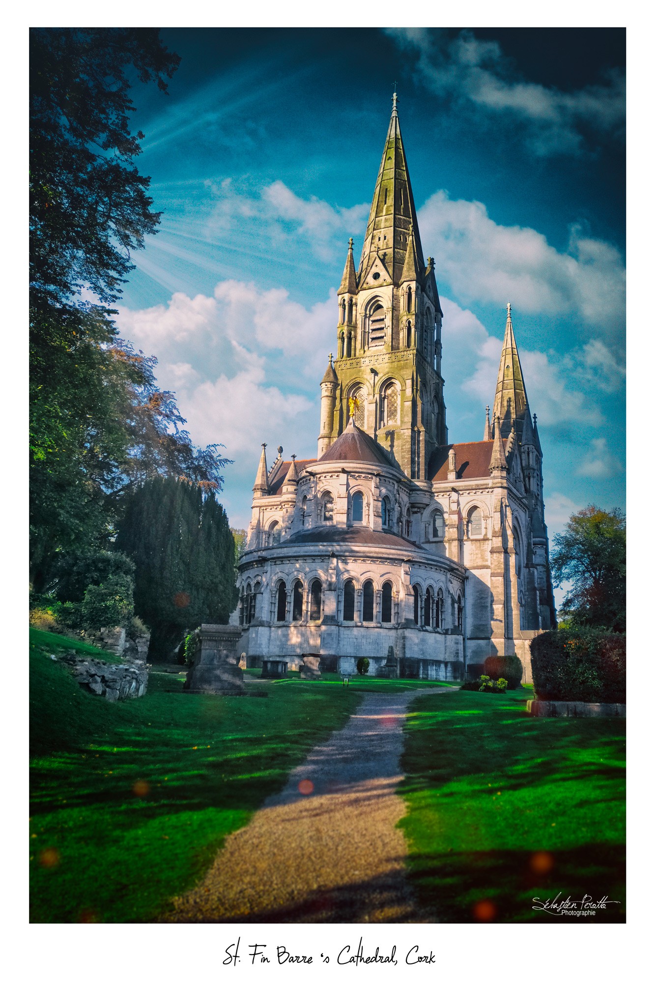 St. Fin Barre's Cathedral - Irish Republic